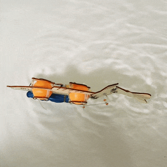 Fish Robot DIY STEM Toy