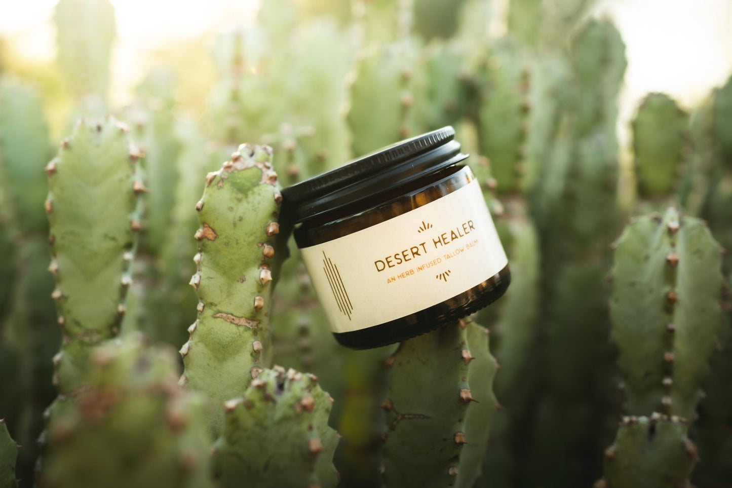 Savior Salve Healing Remedy