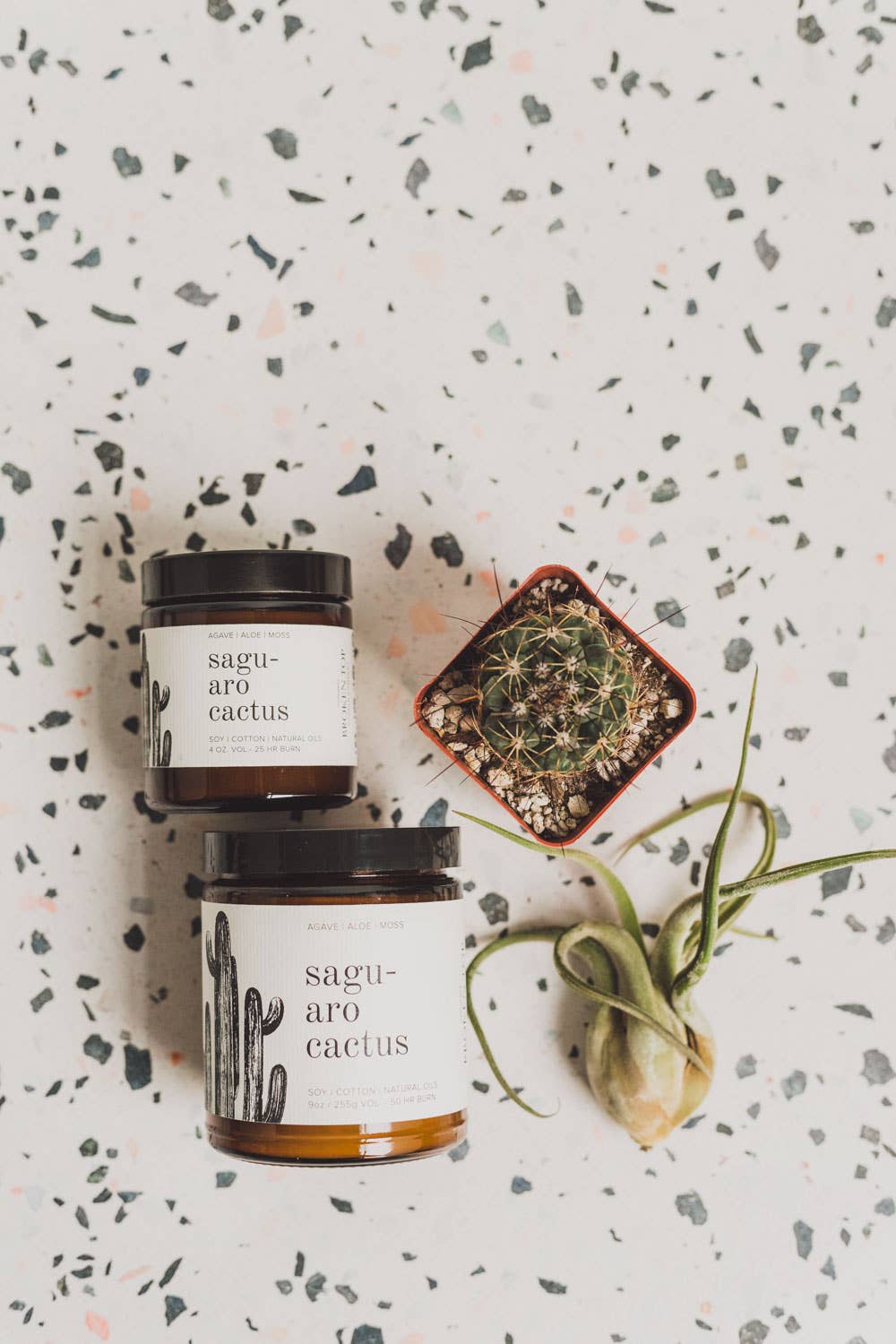 Soy Candle - Saguaro Cactus - 9 oz.
