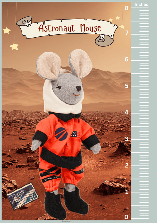 Astronaut Mouse in a Box - Levlovs - vibeboxshop