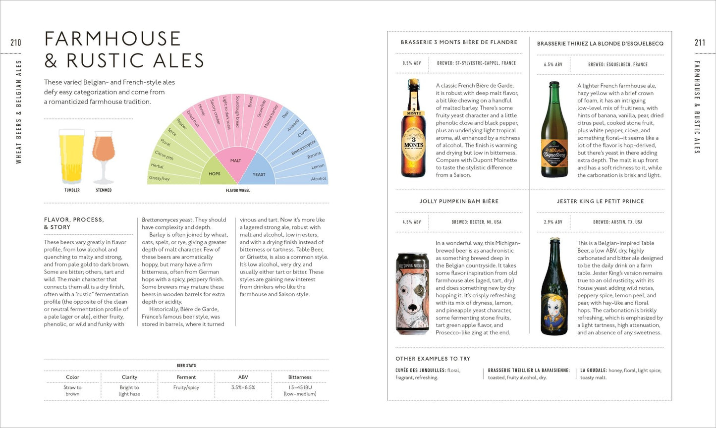 Beer Tasting Course - vibeboxshop