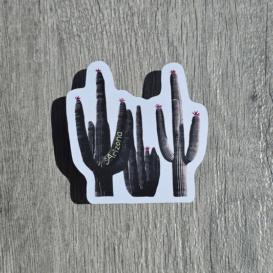 B&W Saguaro Sticker - vibeboxshop