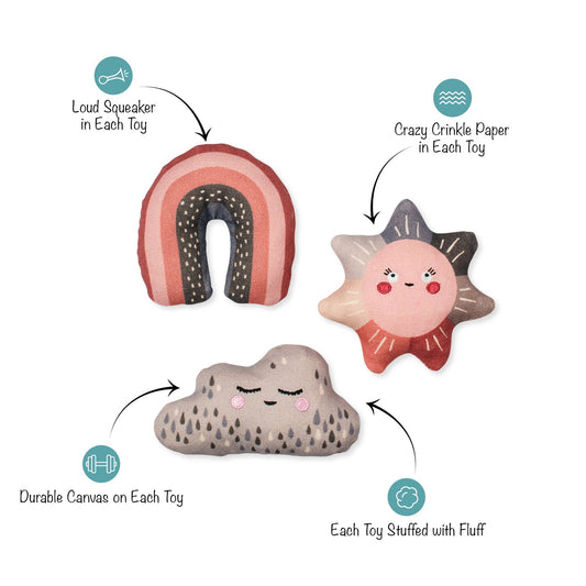 CANVAS MINI DOG TOY SET RAIN OR SHINE - vibeboxshop