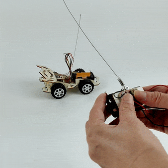 Radio Controlled Car STEM Toy