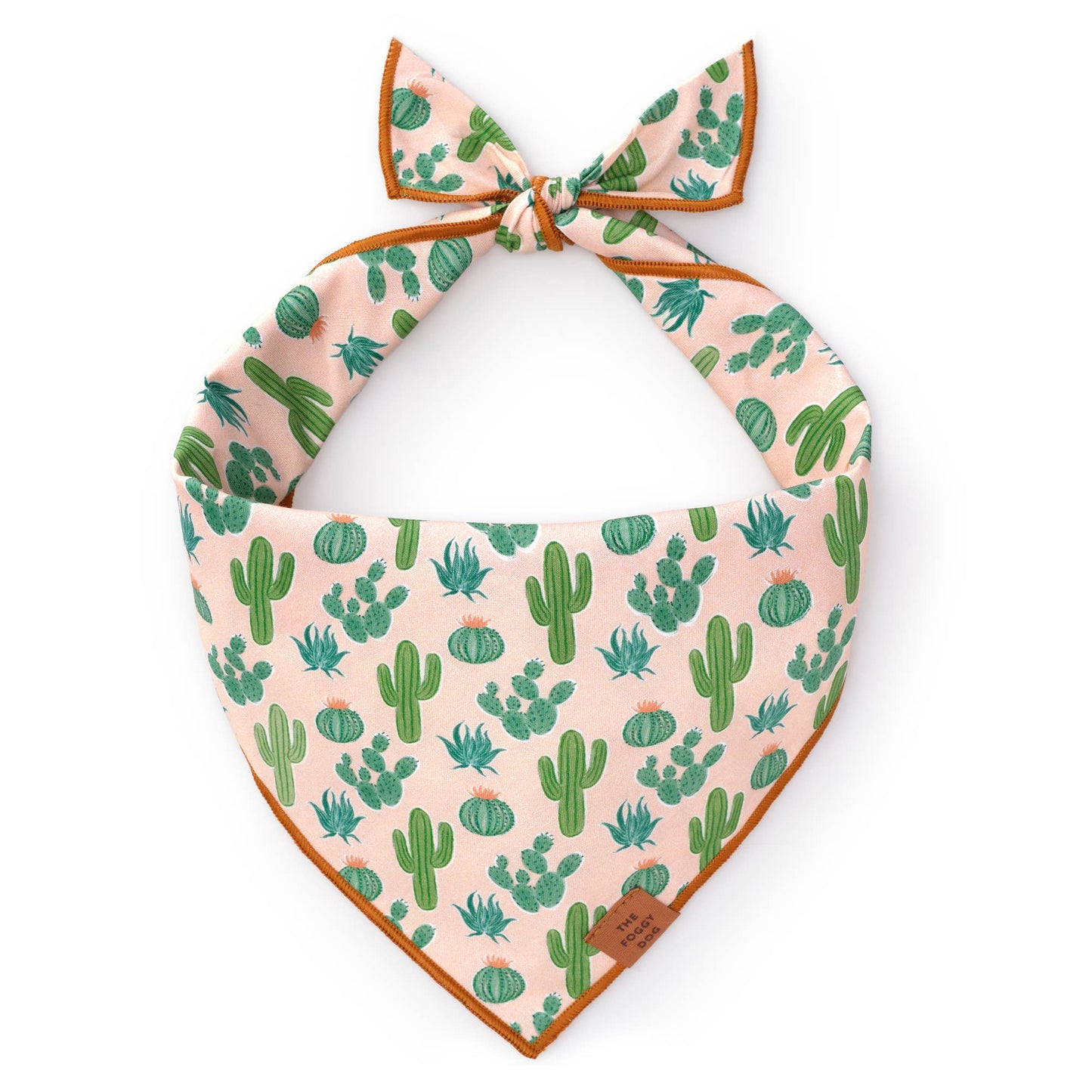 Desert Cactus Dog Bandana - vibeboxshop
