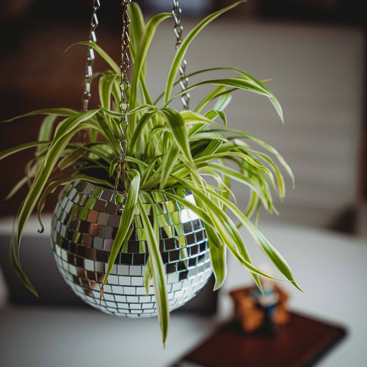 Disco Hanging Planter - vibeboxshop