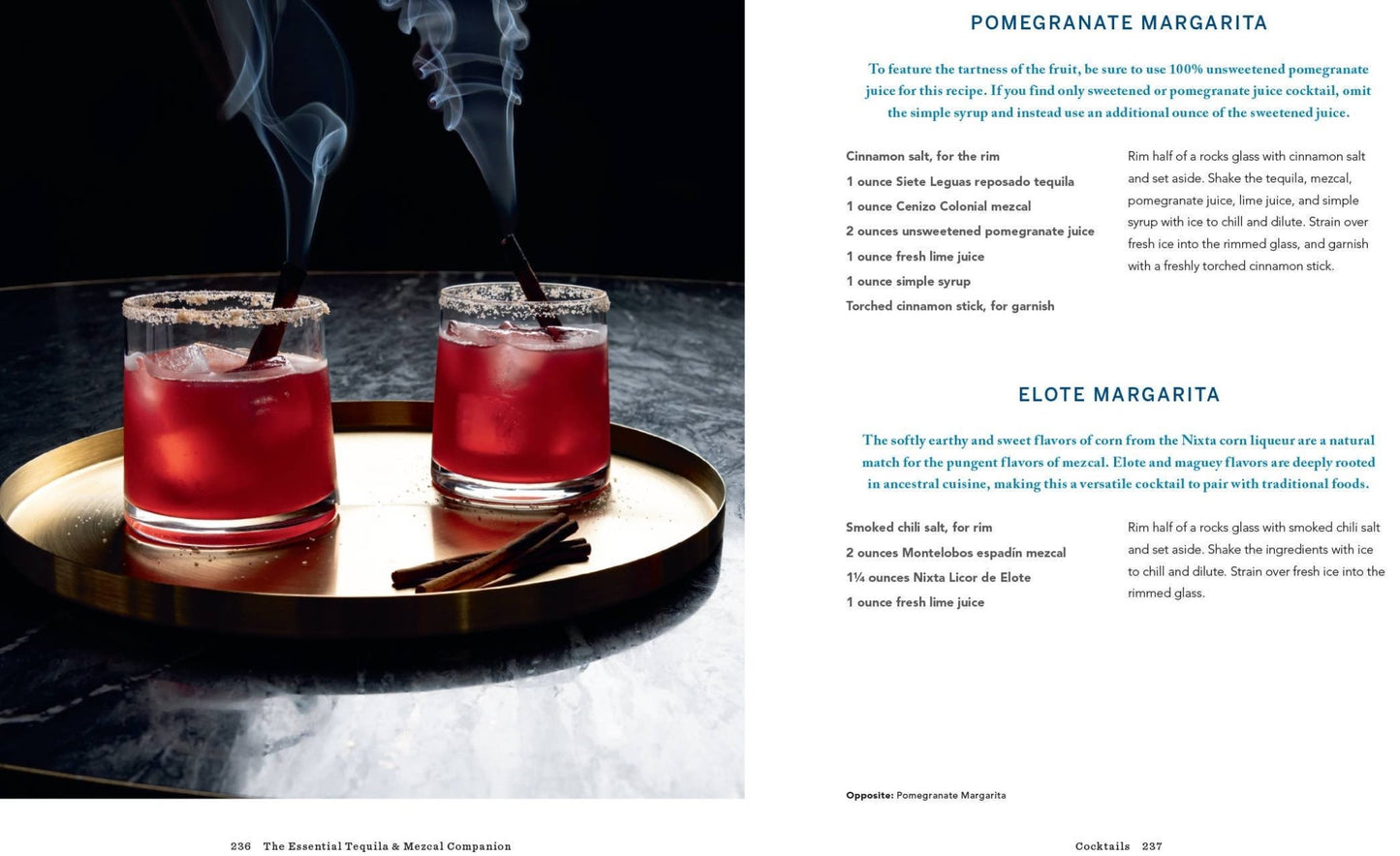 Essential Tequila & Mezcal Companion Cocktail Book - vibeboxshop