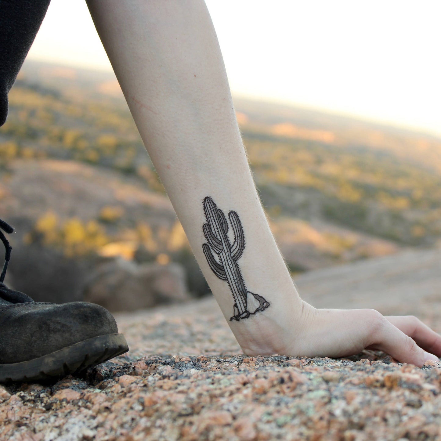 Desert Wild Temporary Tattoo: 1-Pack