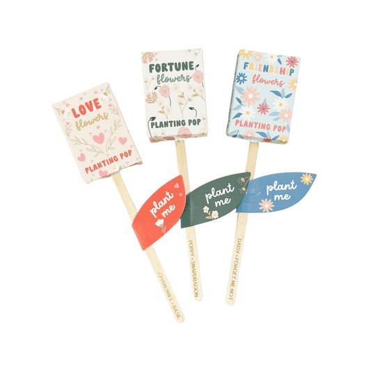 Flowers Garden + Gift Seed Planting Pop - vibeboxshop