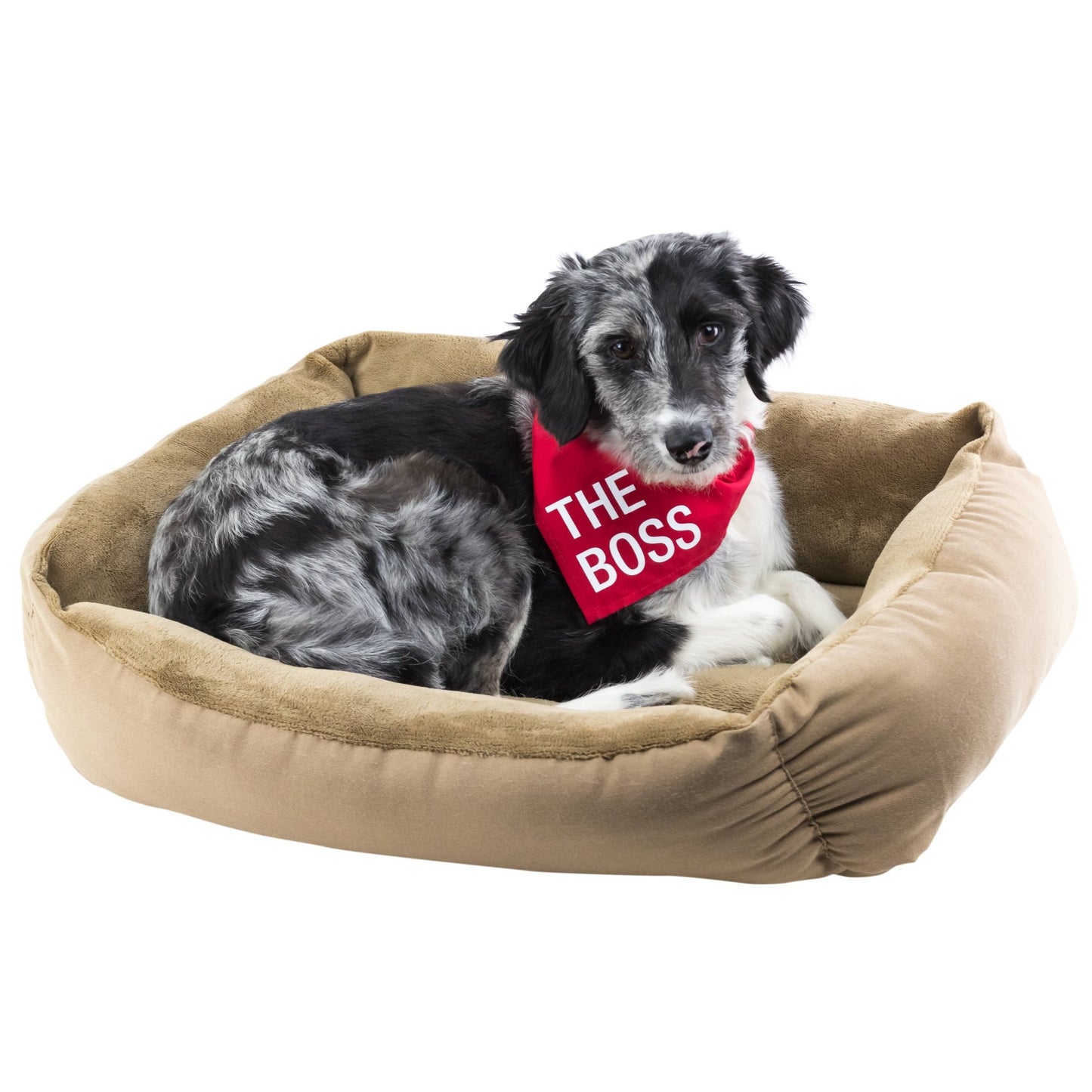 Free Kisses Large / X - Large Dog Bandana - vibeboxshop