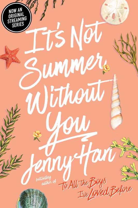 It's Not Summer Without You by Jenny Han - vibeboxshop