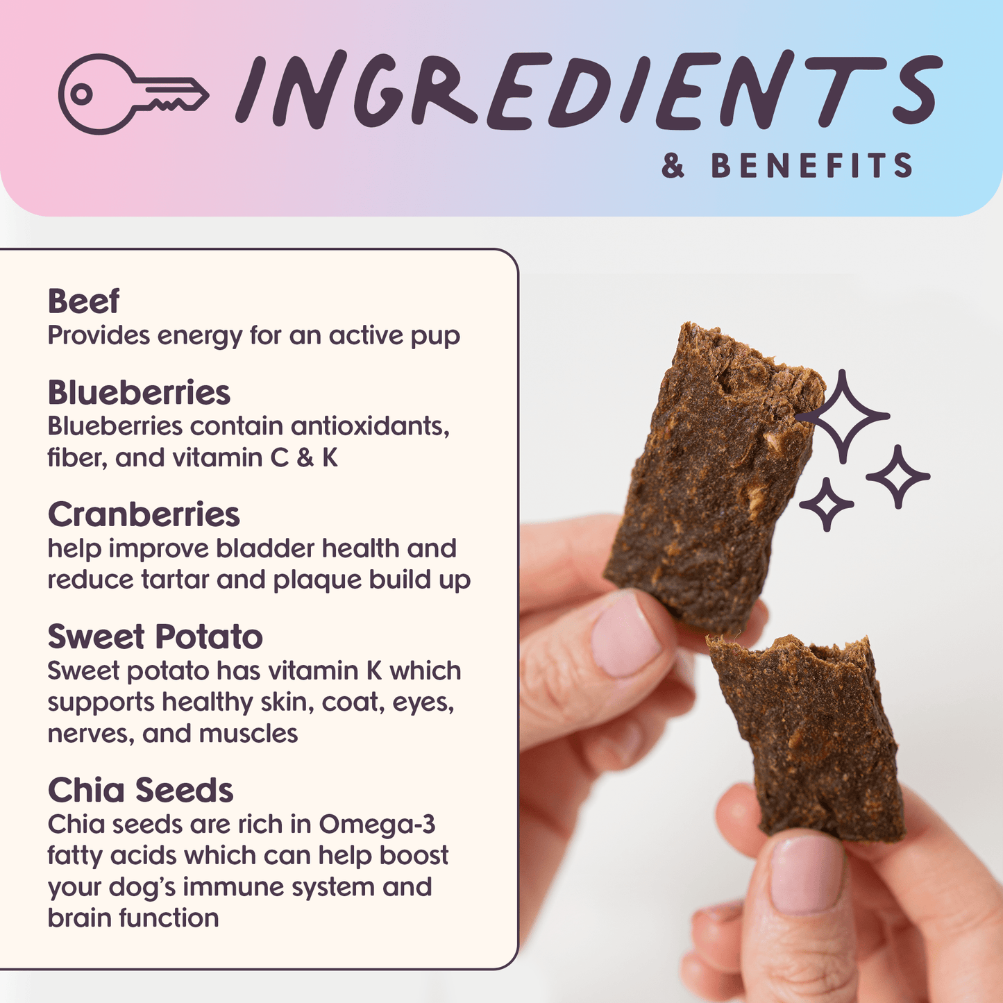 Leash & Load Beef Superfood Jerky Bars for Dogs 5oz - vibeboxshop