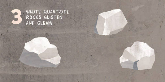 Let’s Count Arizona - vibeboxshop