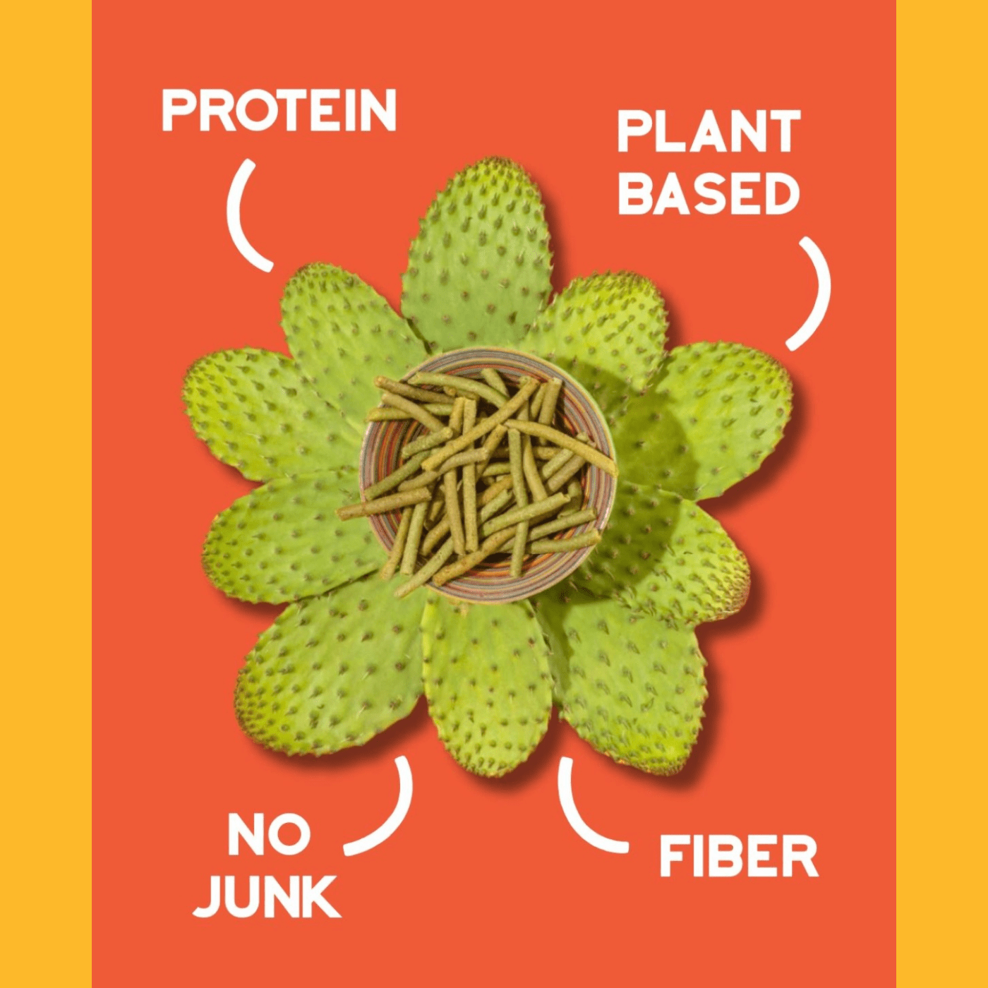 Nemi Cactus Sticks - vibeboxshop