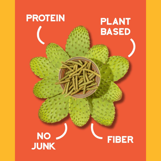 Nemi Cactus Sticks - vibeboxshop