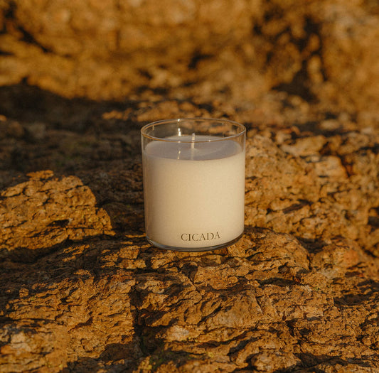 No. 09 - Prickly Pear Candle - vibeboxshop