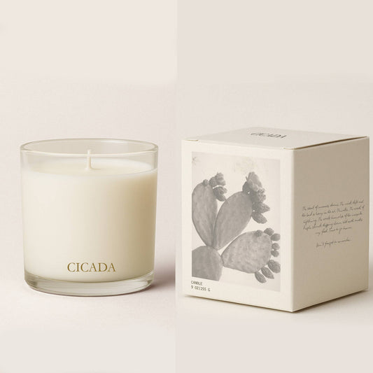 No. 09 - Prickly Pear Candle - vibeboxshop