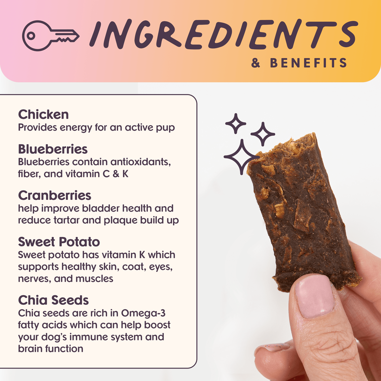 Rise & Shine Chicken Superfood Jerky Bars for Dogs 5oz - vibeboxshop