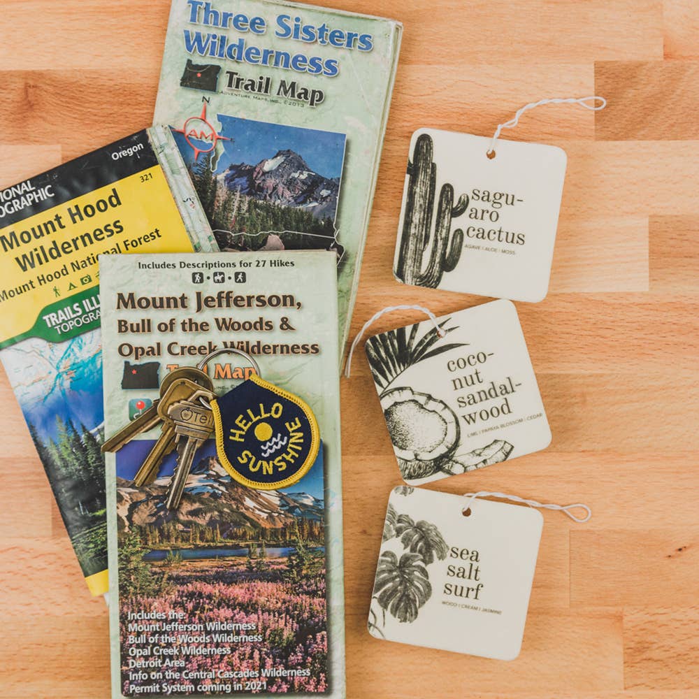 Saguaro Cactus Car Fresheners - vibeboxshop