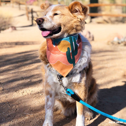 Saguaro Dog Bandana - vibeboxshop