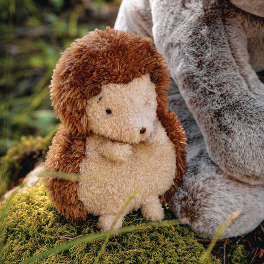 Smidgen The Hedgehog - vibeboxshop