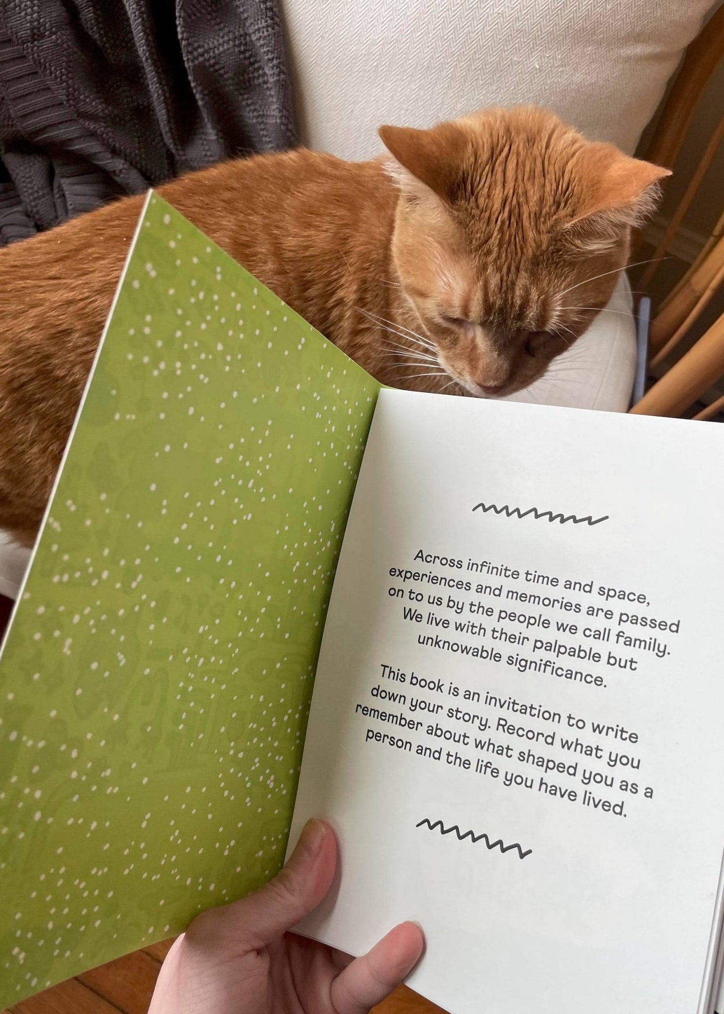 Stories We Tell Guided Journal - vibeboxshop