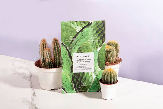 Super Cactus 3 Step Facial 🌵 - vibeboxshop