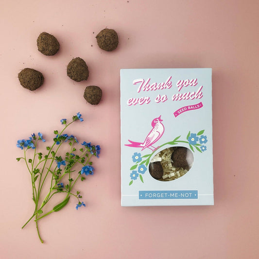 Thank You So Much Seed Ball Gift Box - vibeboxshop