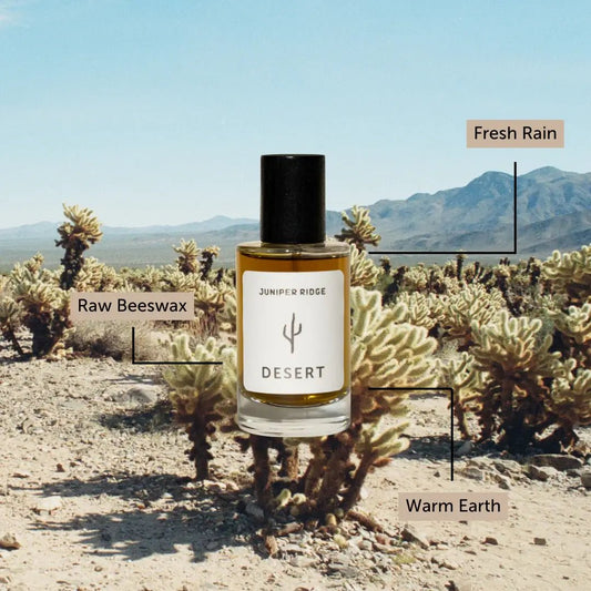 Wilderness Cologne - Desert - vibeboxshop