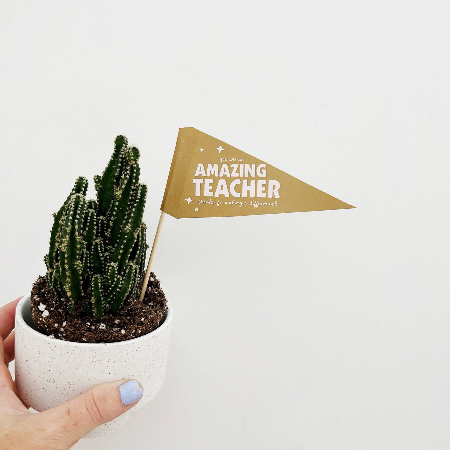 You're an Amazing Teacher Flag - vibeboxshop