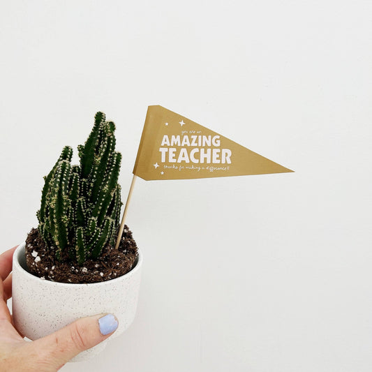 You're an Amazing Teacher Flag - vibeboxshop