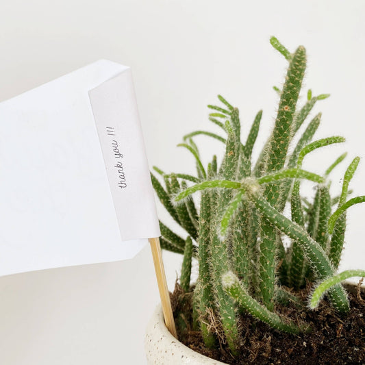 You're the Best Flag - vibeboxshop