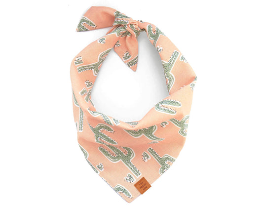 Cactus Garden Dog Bandana - vibeboxshop