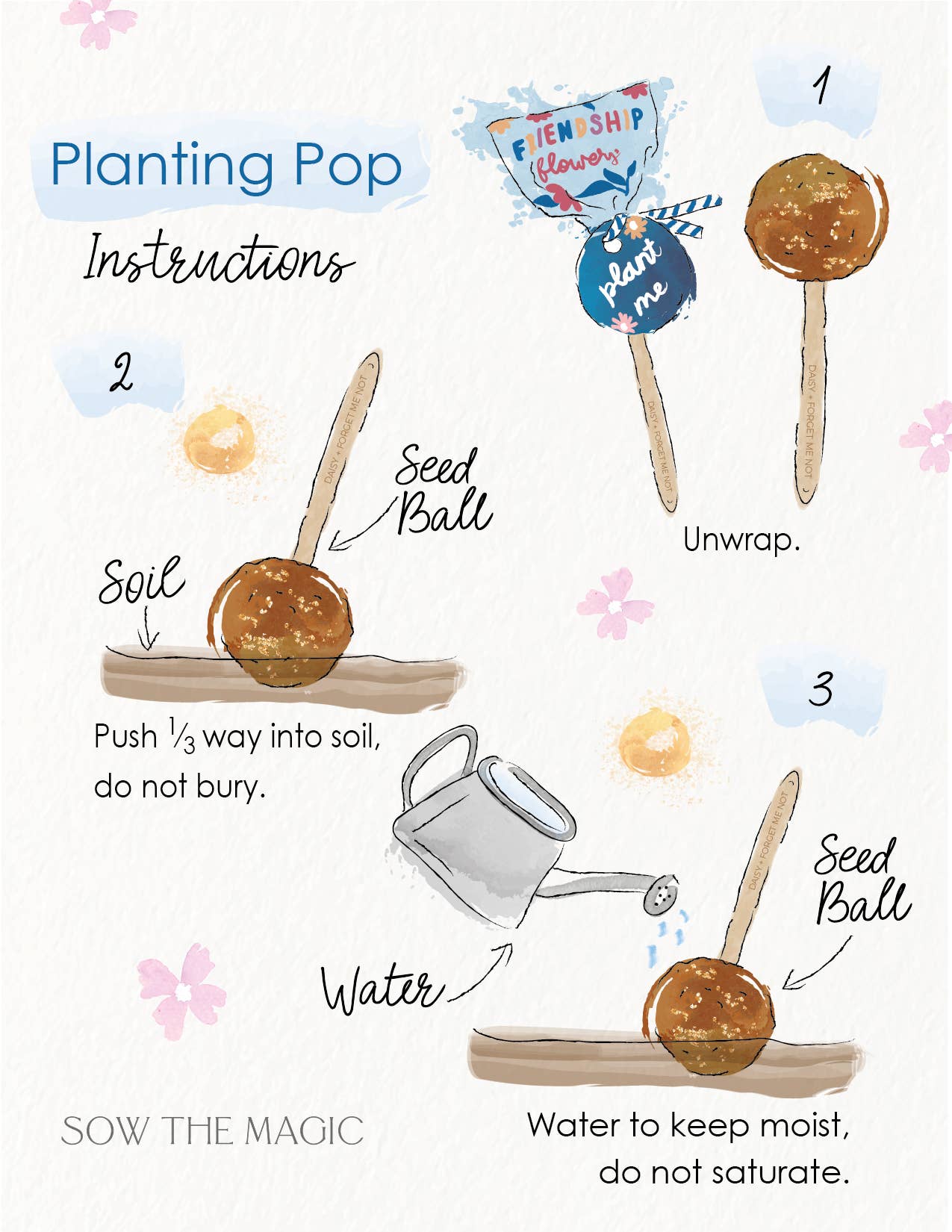 Planting Pops - Fortune Flowers