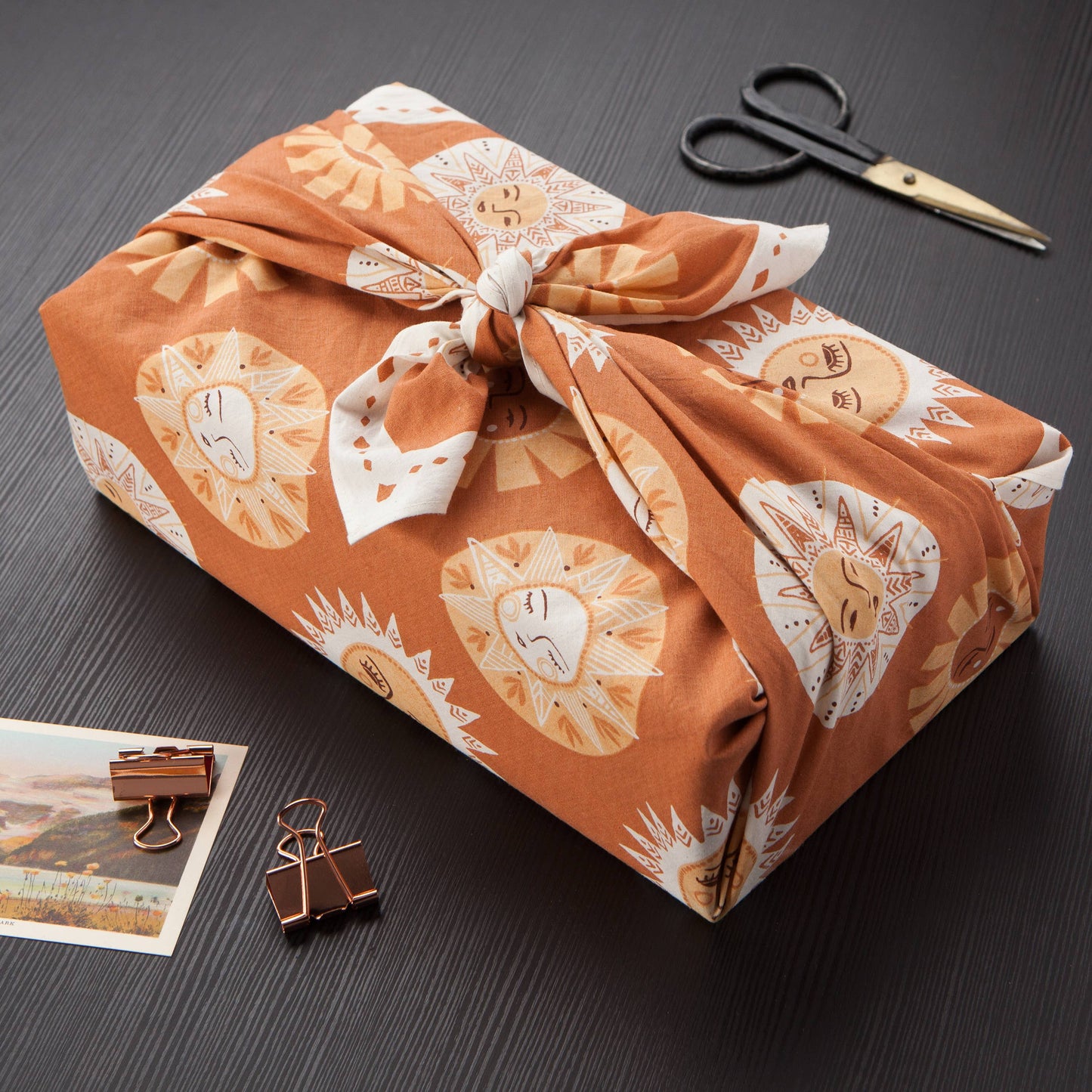 Danica Studio Soleil Reusable Gift Wrap 32 x 32 inches