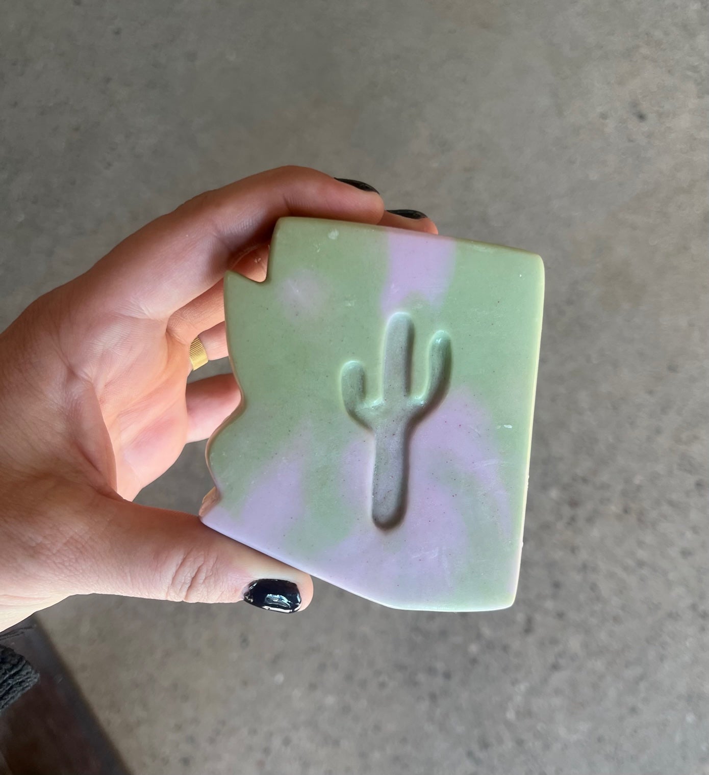 Sonoran Serenity Vibes