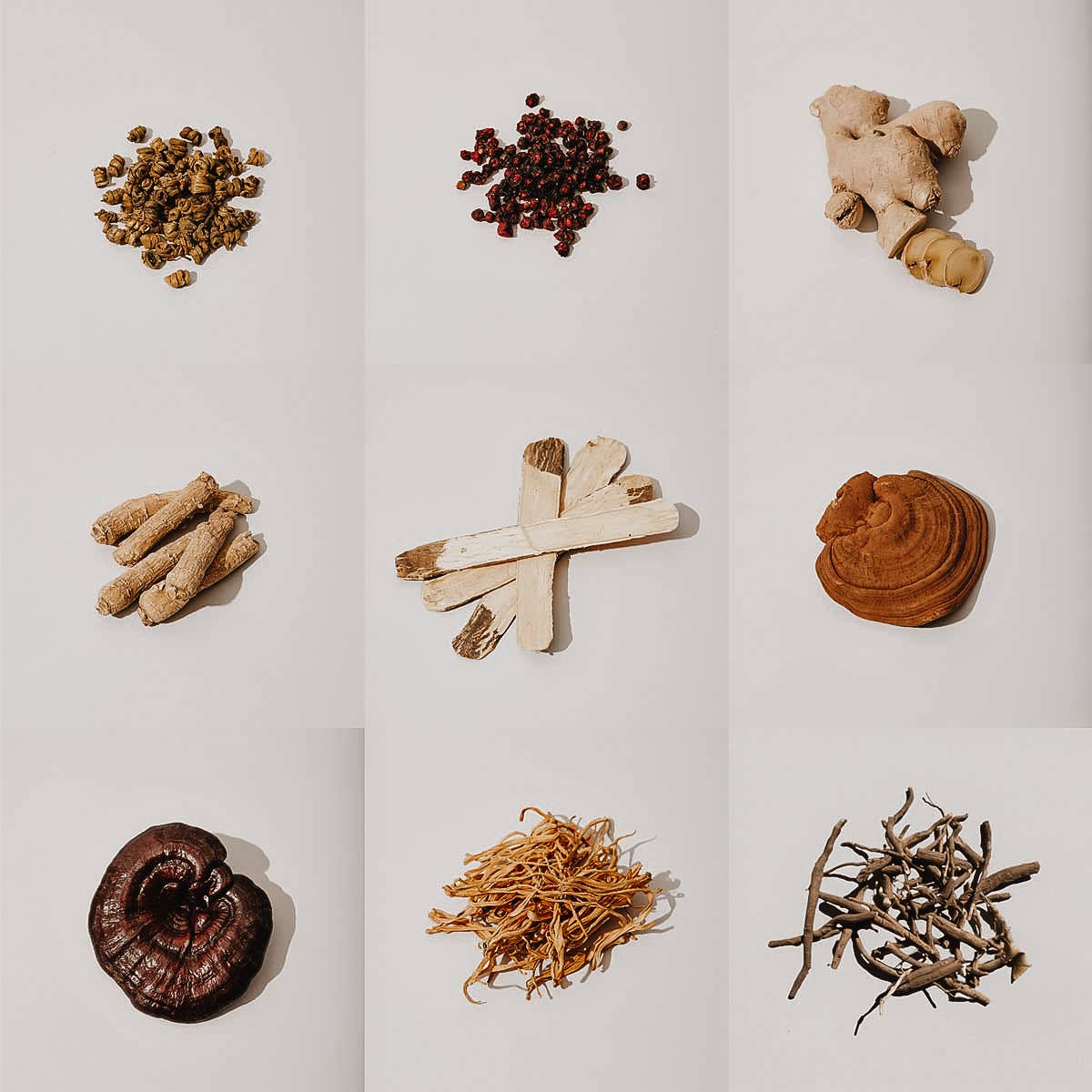 Adaptogen Magic Herbal Tincture - vibeboxshop