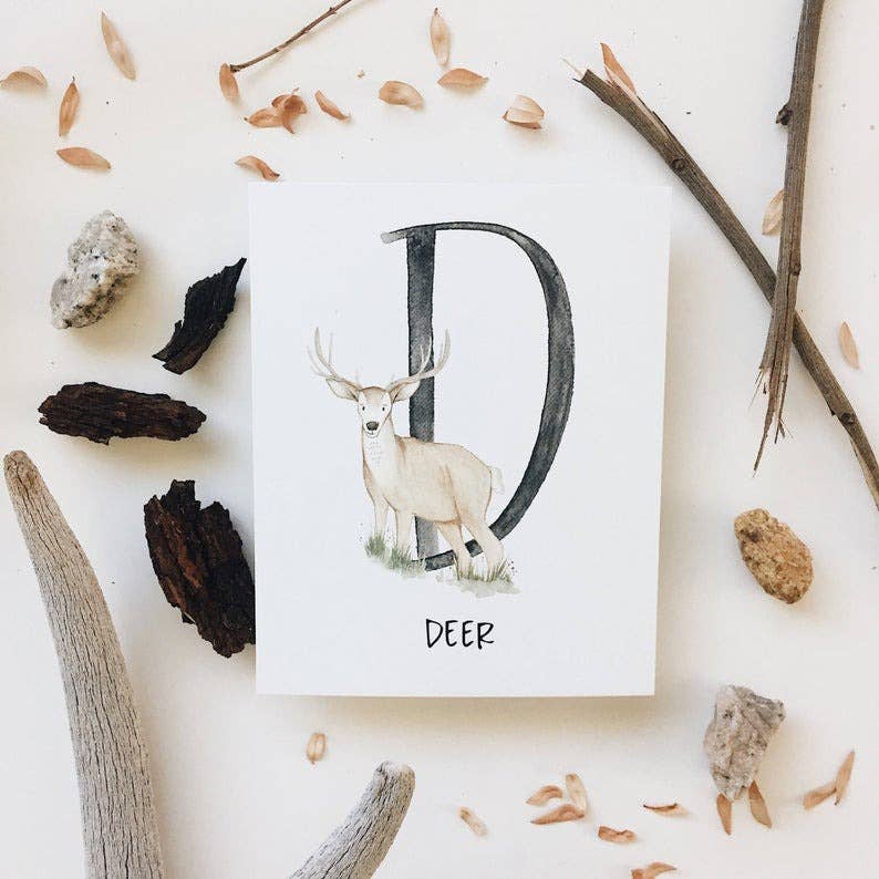 Alphabet Adventure Flash Cards | Card Set - vibeboxshop