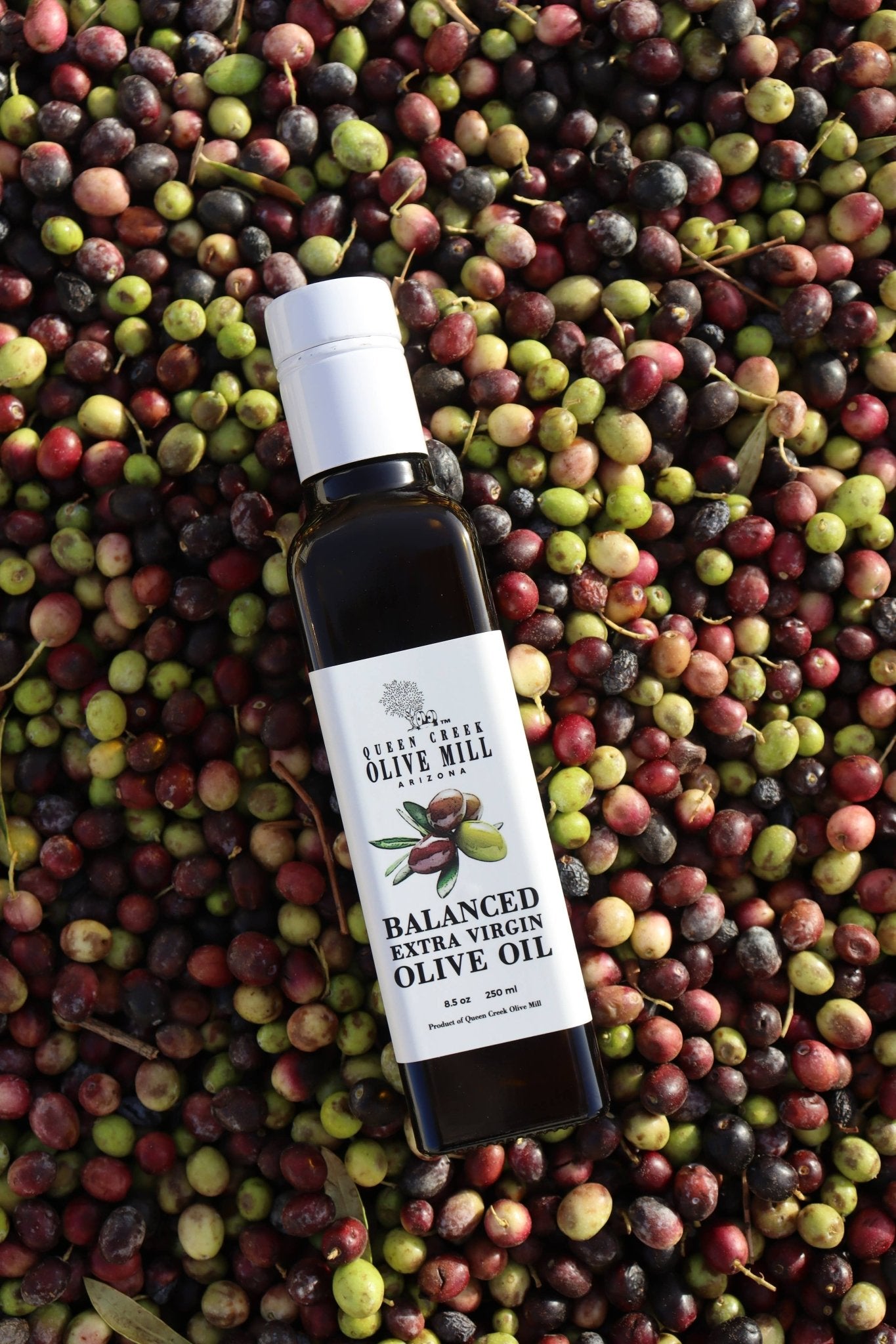 Balanced Extra Virgin Olive Oil - 250ml - 12/Case - vibeboxshop