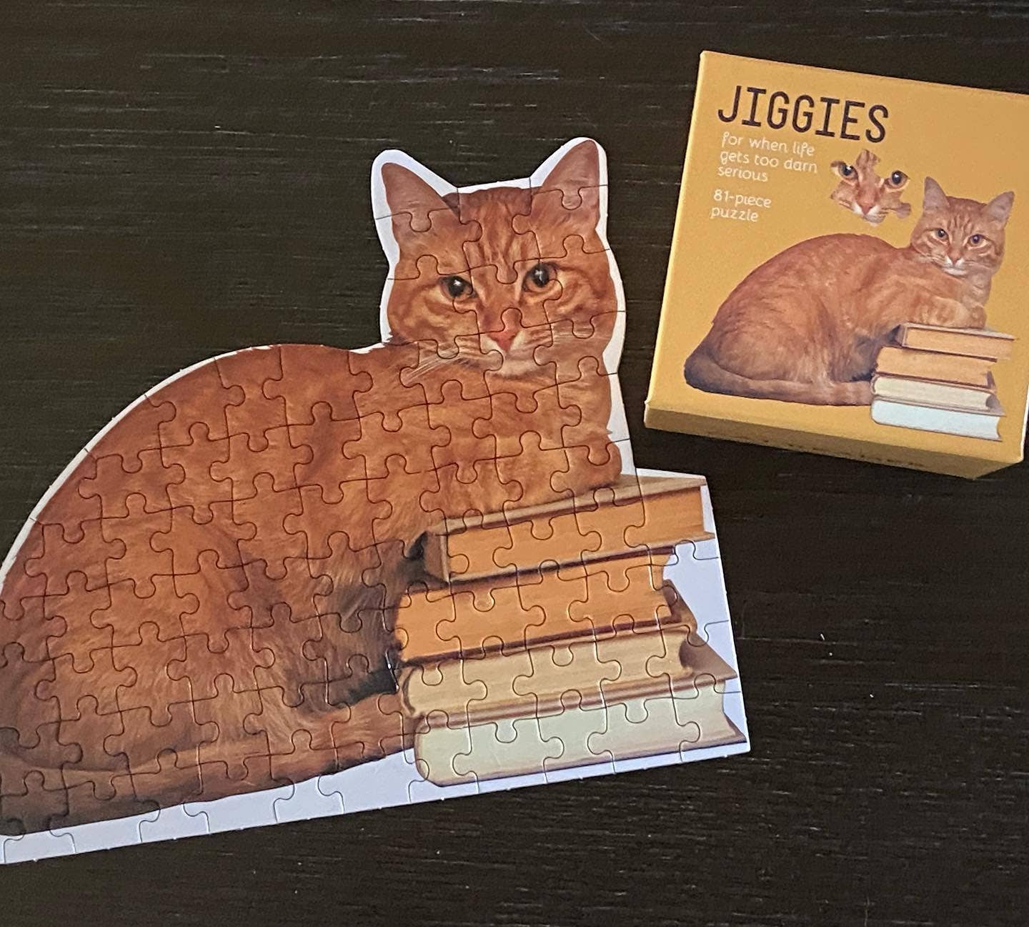 Cat Reader Jiggie Puzzle - vibeboxshop