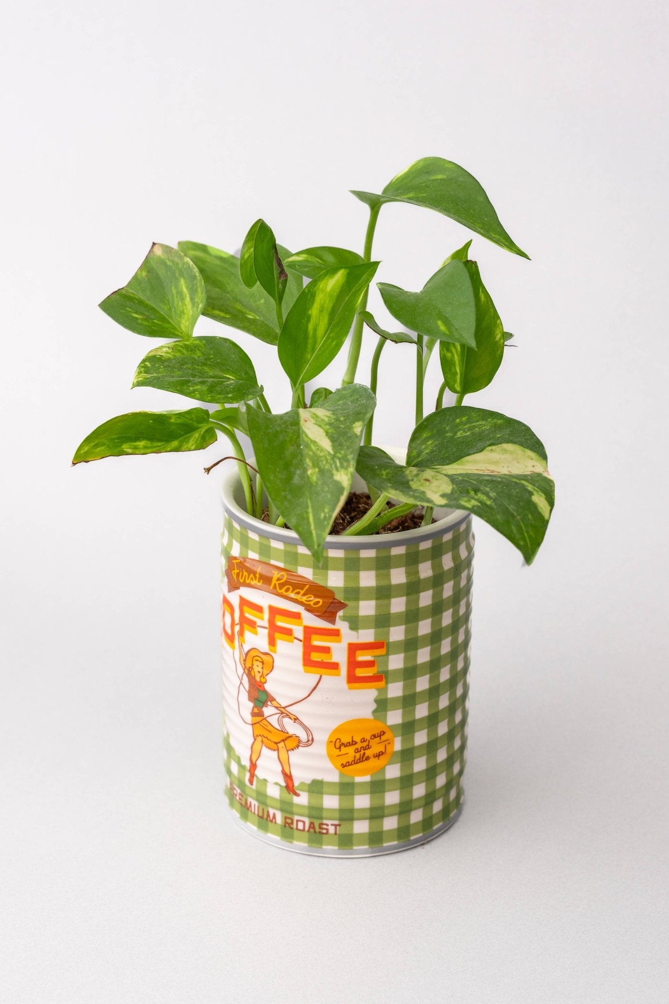 Ceramic Coffee Can Planter - vibeboxshop