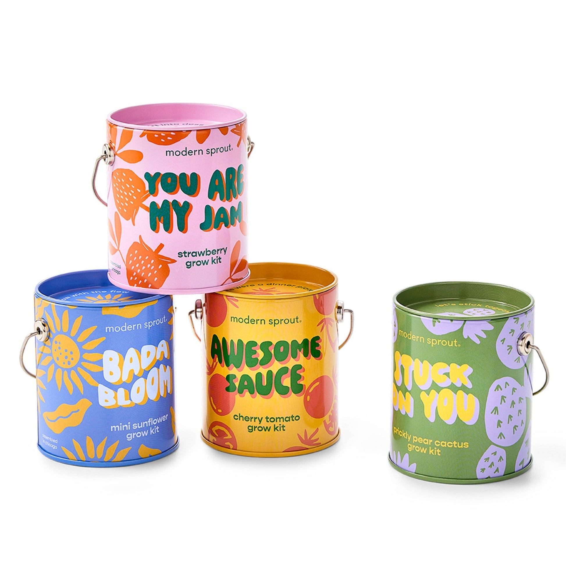 Color Grow Kits - vibeboxshop