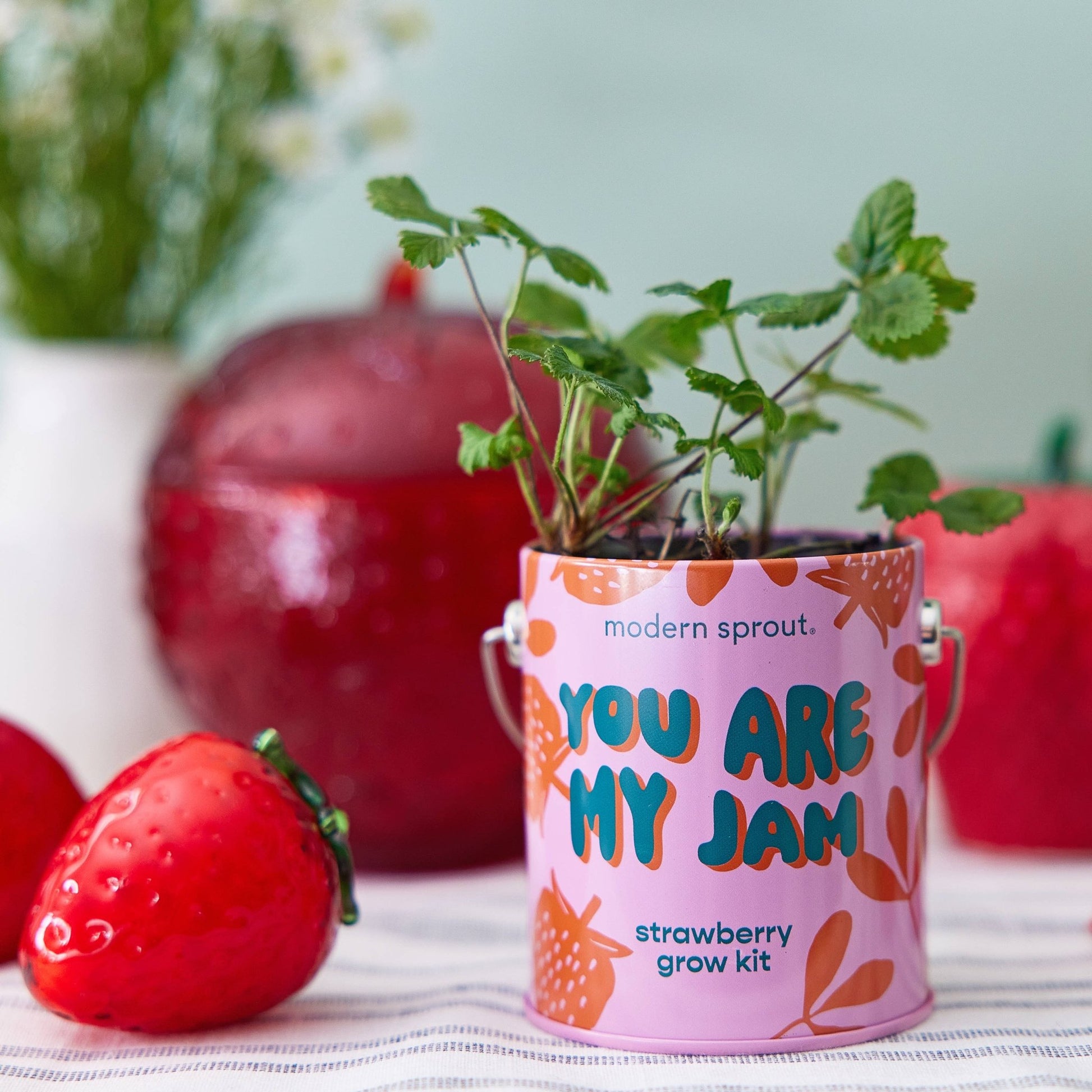 Color Grow Kits - vibeboxshop