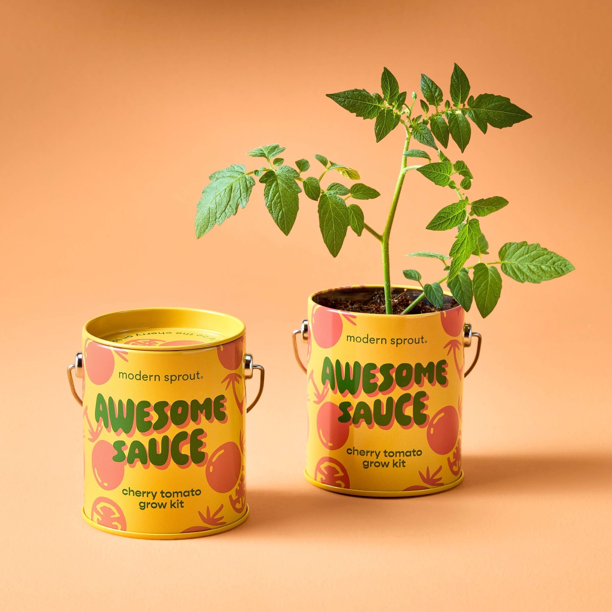 Color Grow Kits - vibeboxshop