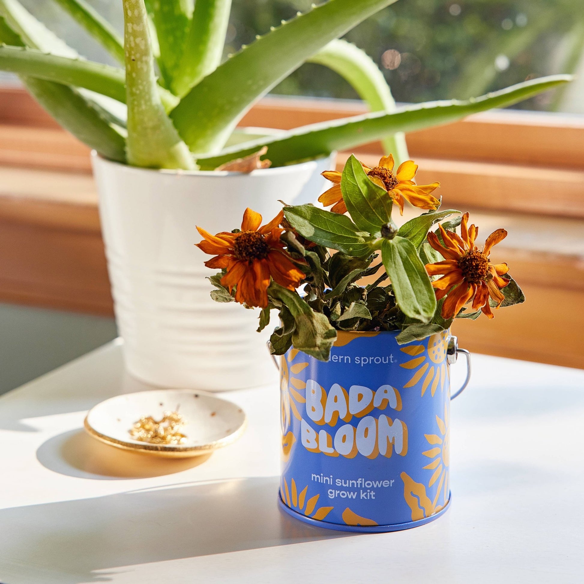 Color Grow Kits - vibeboxshop
