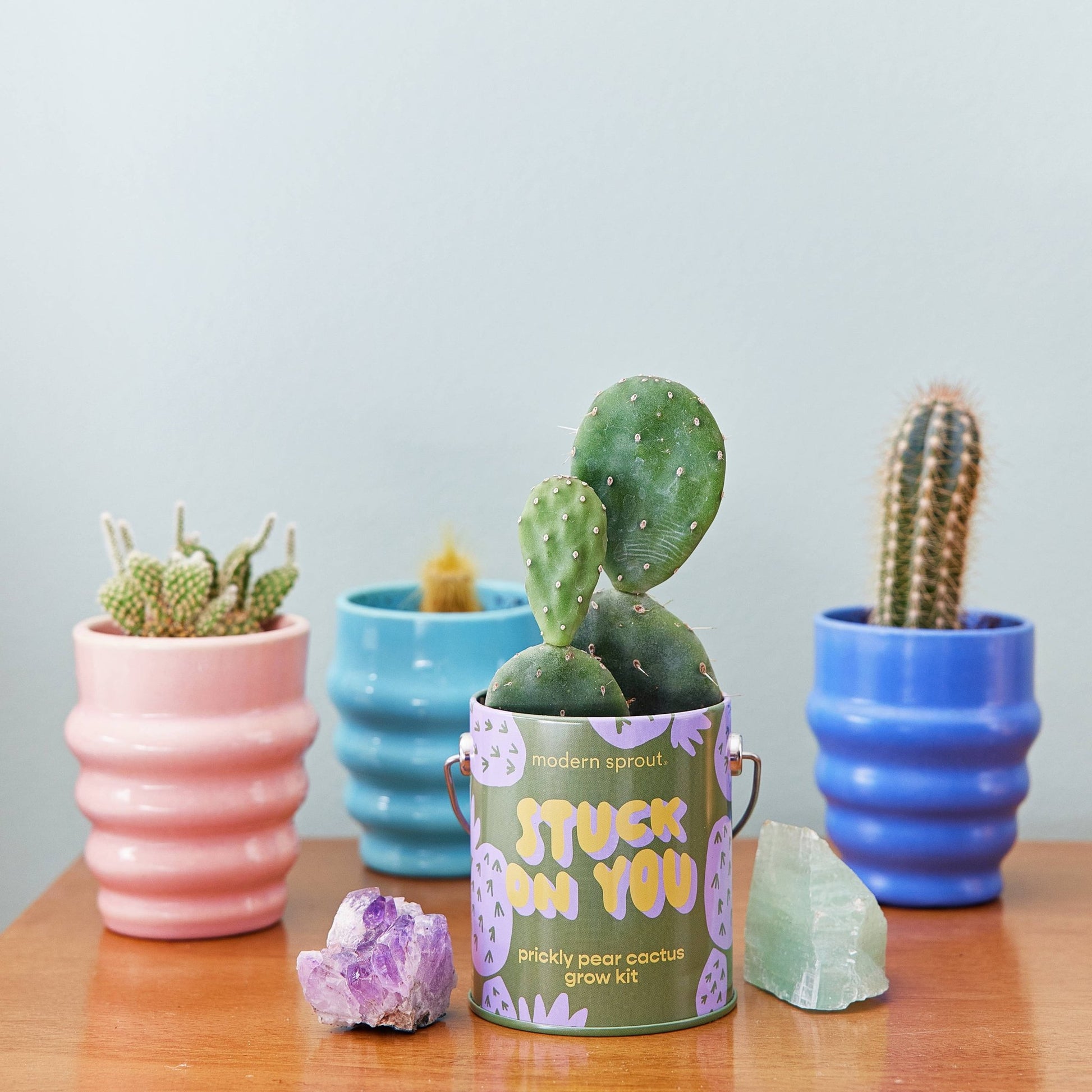 Color Grow Kits - vibeboxshop