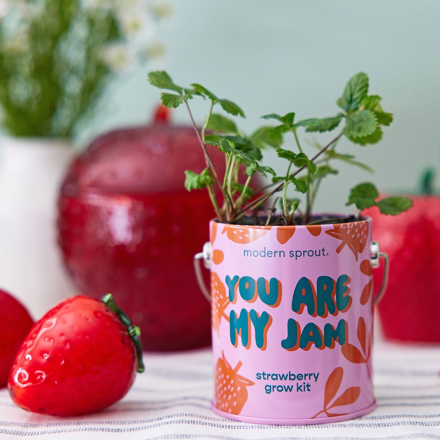Color Grow Kits - vibeboxshop
