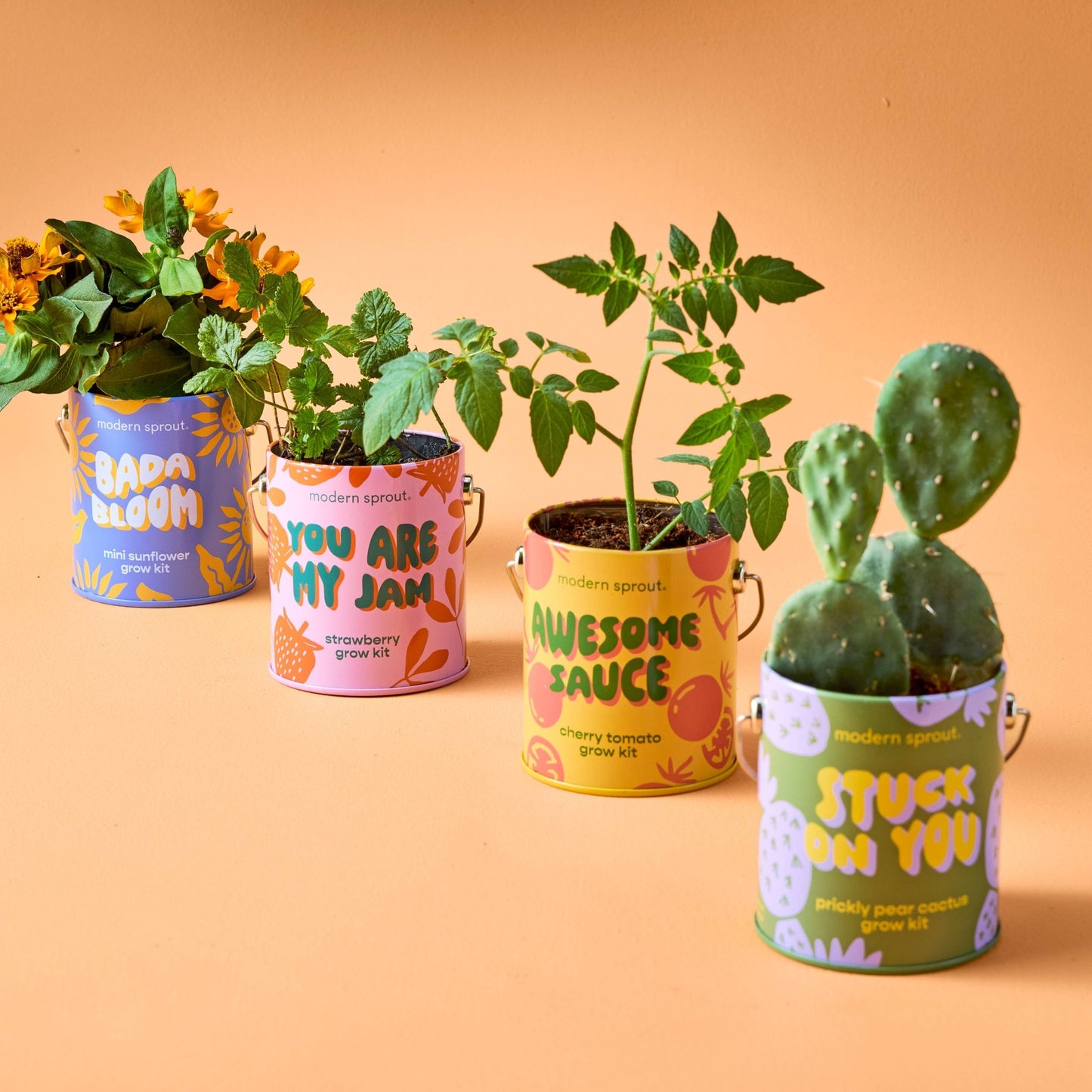 Color Grow Kits - vibeboxshop