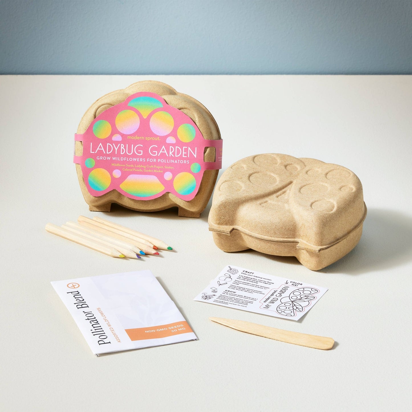 Curious Critters Activity Kit - vibeboxshop