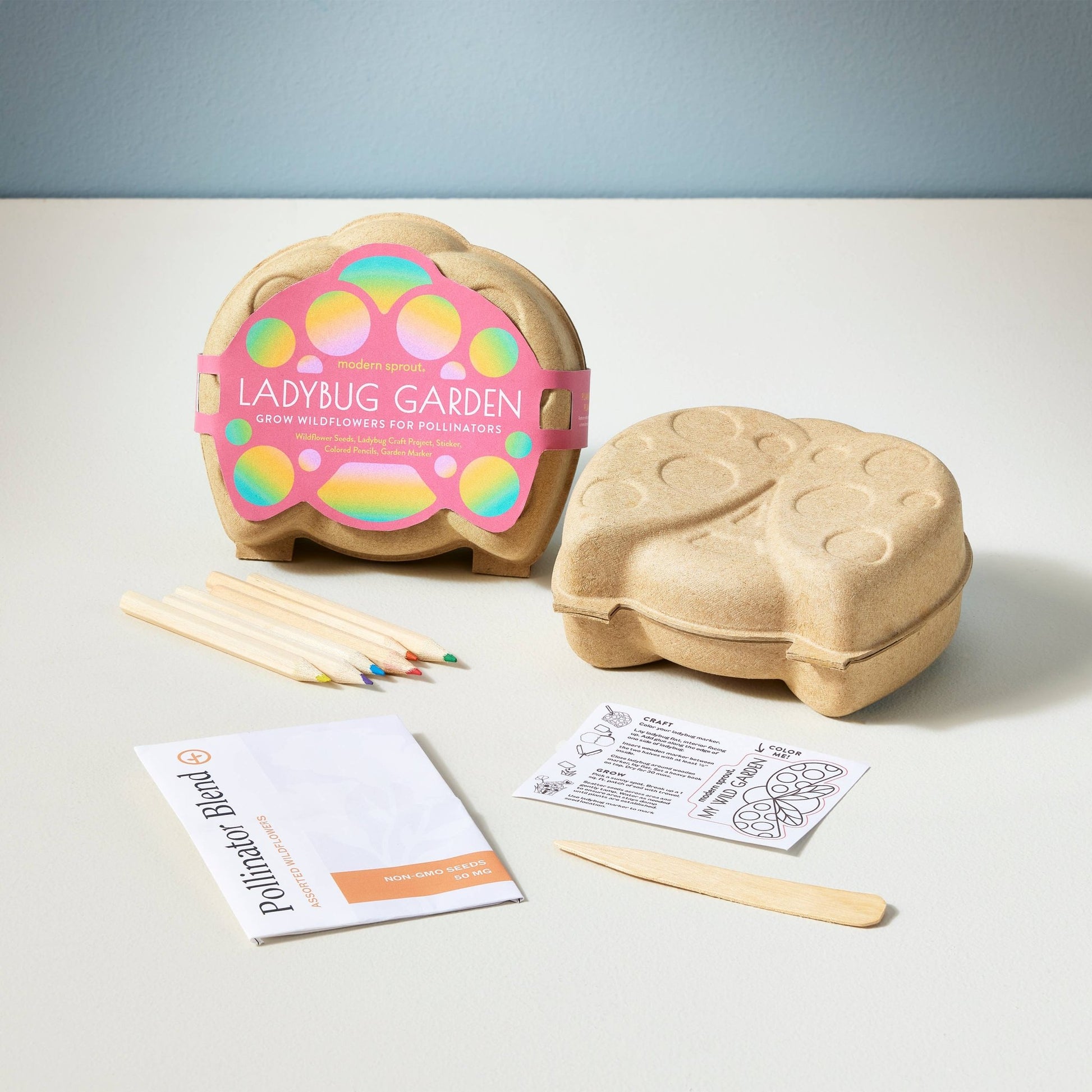 Curious Critters Activity Kit - vibeboxshop